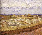 Vincent Van Gogh, Blooming peach